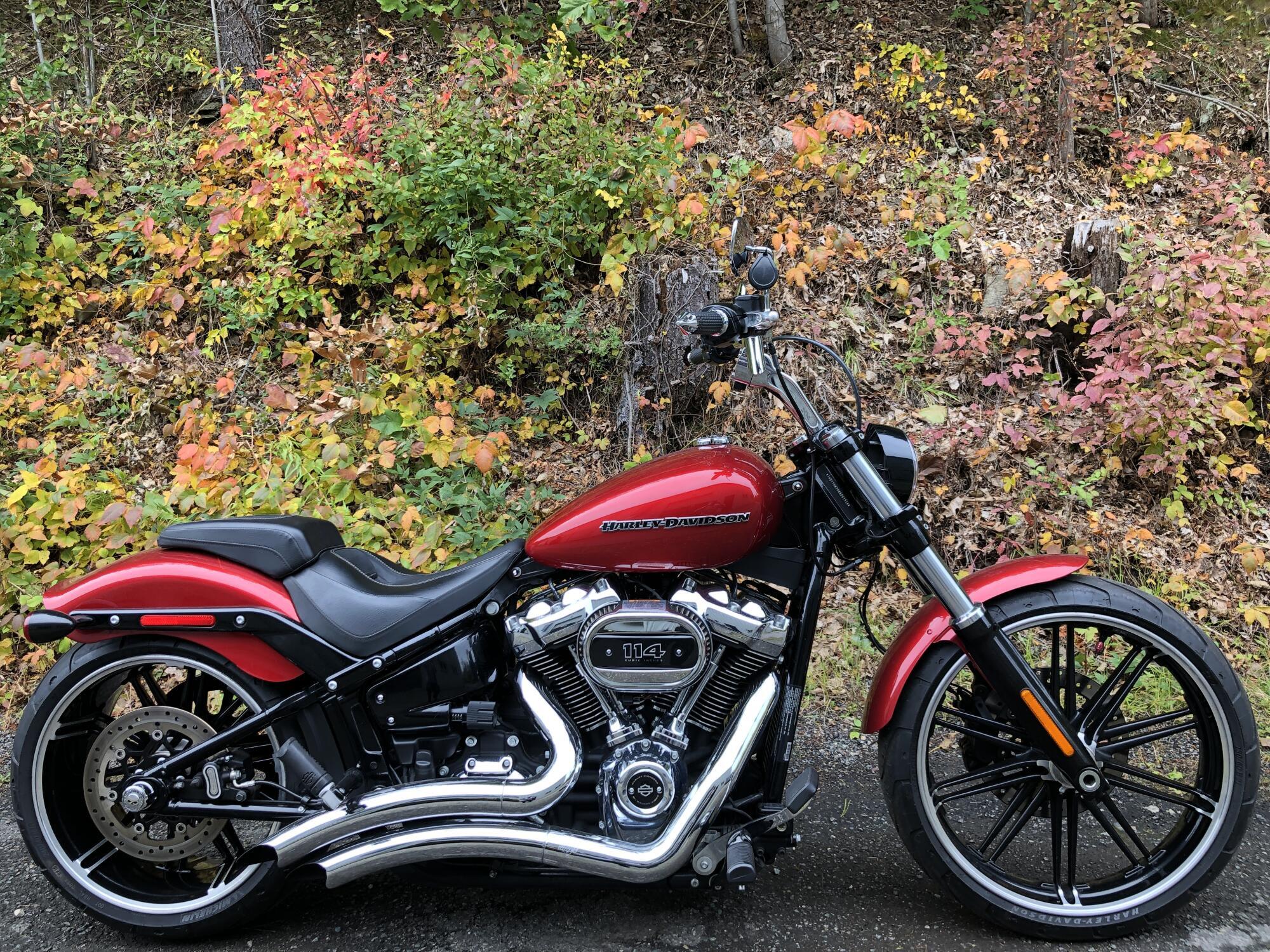 2019 Harley-Davidson Breakout 114 in Bellingham, MA