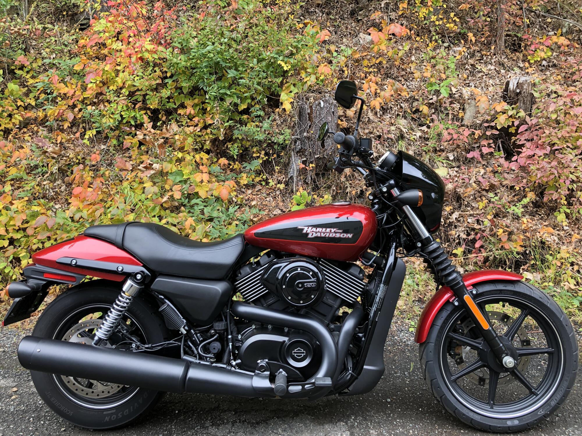 Harley-Davidson Motorcycles For Sale Near Honolulu, HI - Cycle Trader