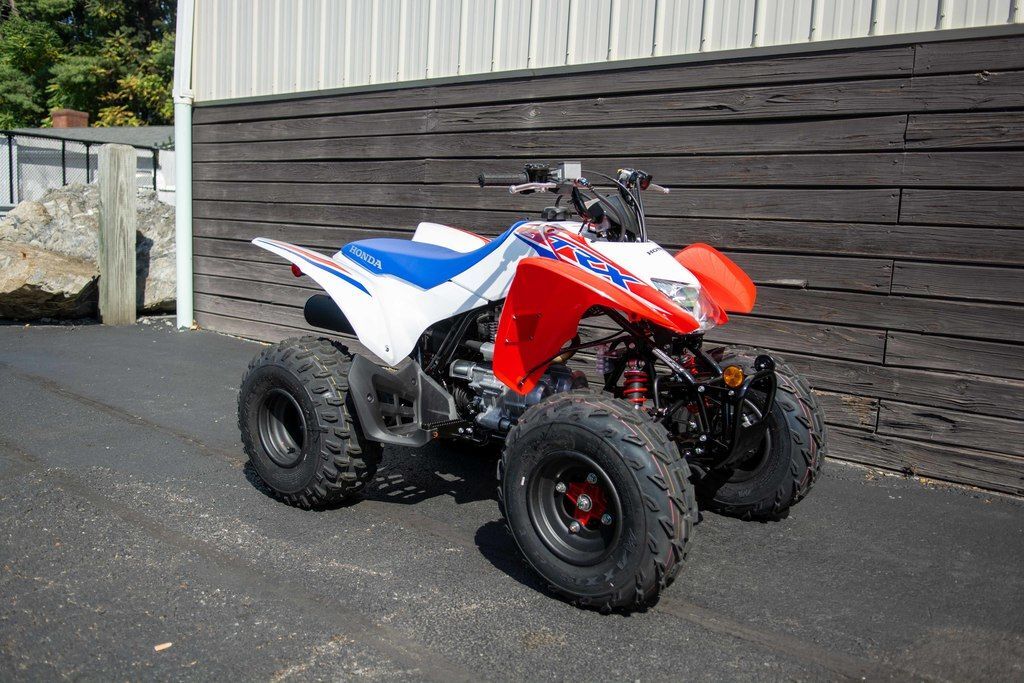 2026 Honda® TRX250X in waynesboro VA