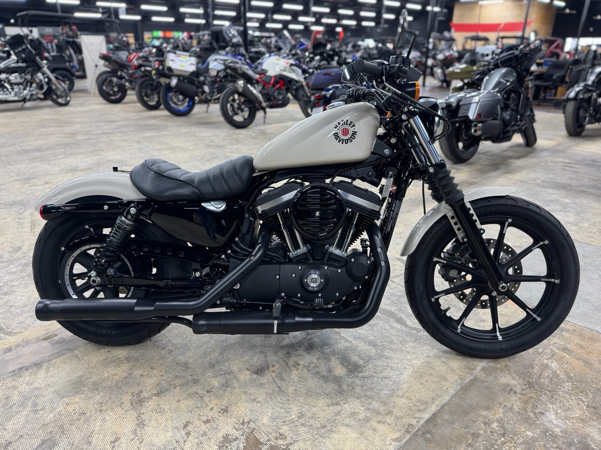 2022 Harley-Davidson Iron 883™ IRON in Alexandria, LA