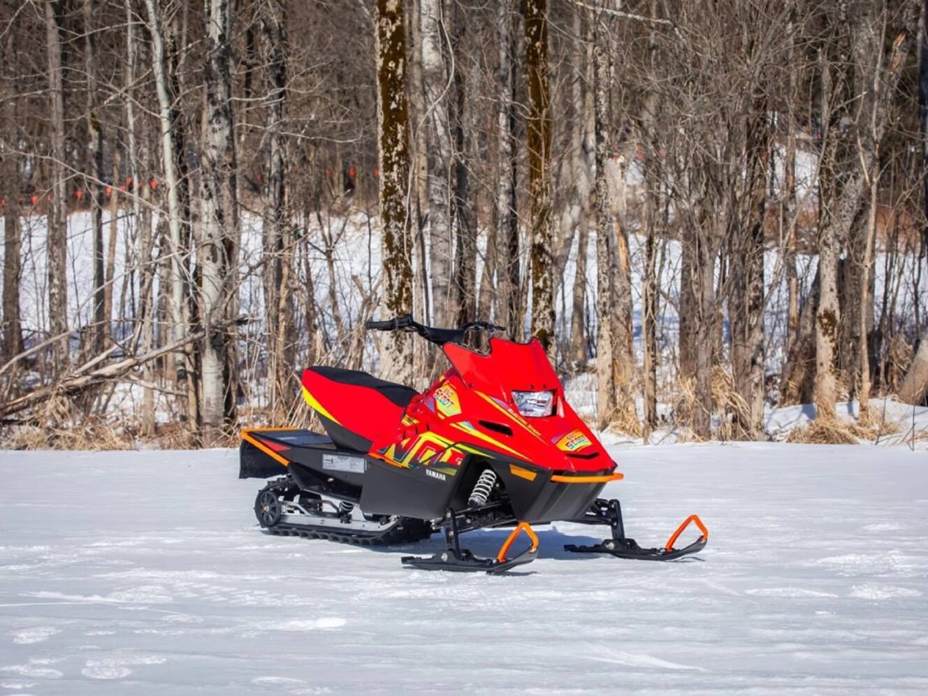 A photo of this 2025 Yamaha Snoscoot ES