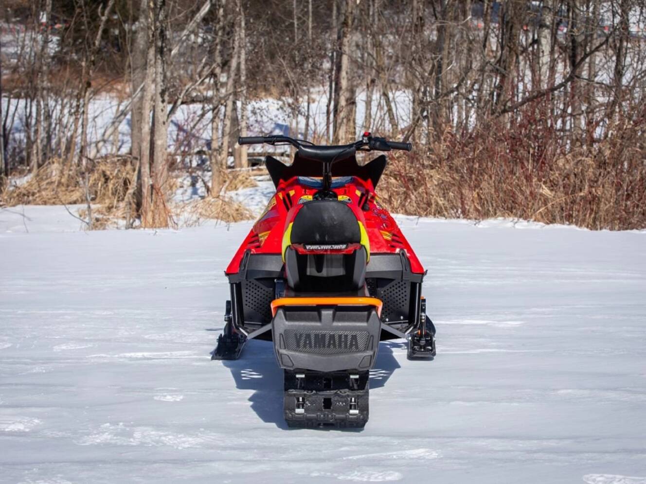 A photo of this 2025 Yamaha Snoscoot ES