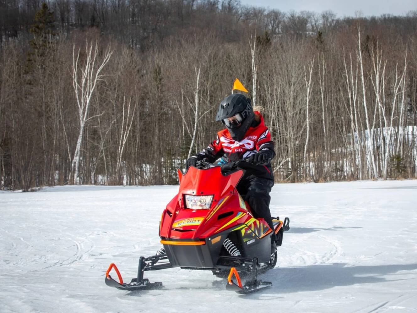 A photo of this 2025 Yamaha Snoscoot ES