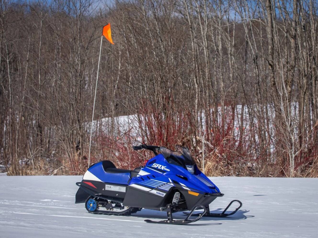 A photo of this 2025 Yamaha SRX120R