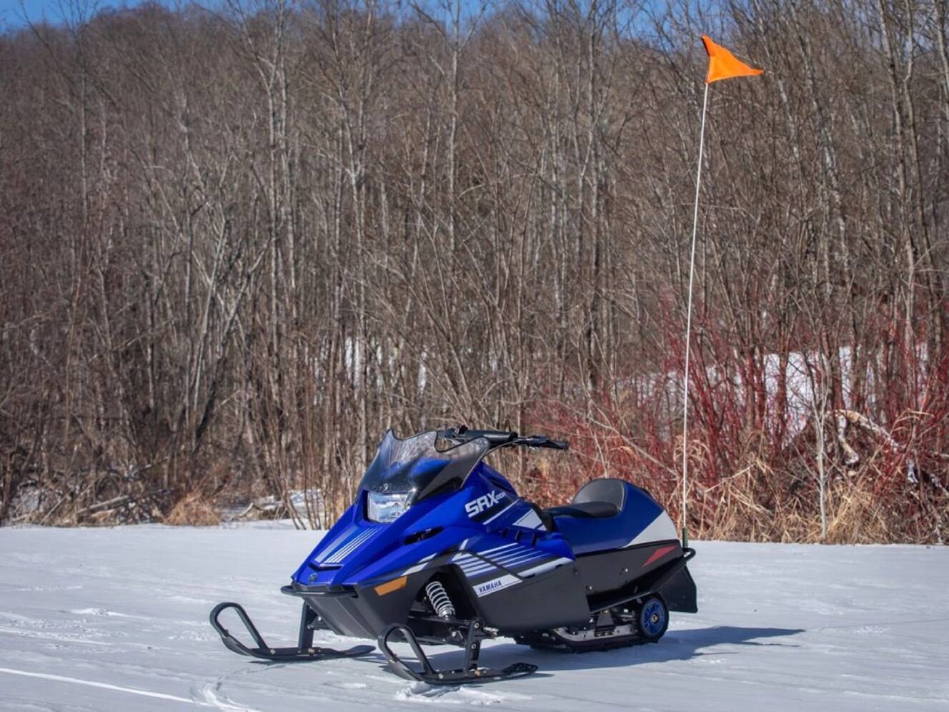A photo of this 2025 Yamaha SRX120R