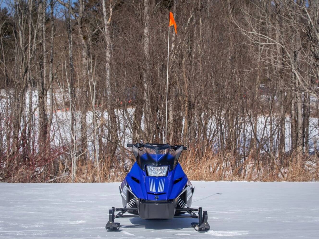 A photo of this 2025 Yamaha SRX120R