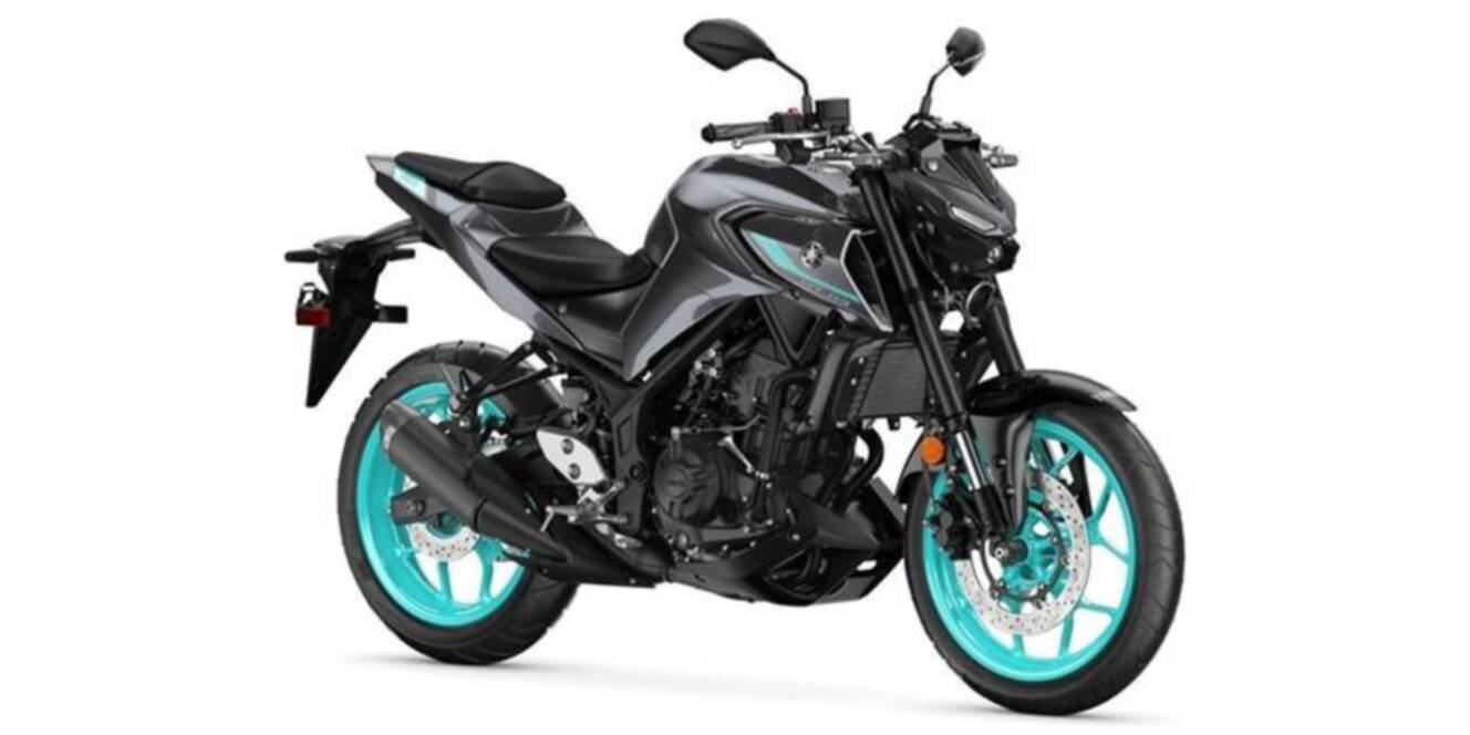 A photo of this 2024 Yamaha MT-03 03