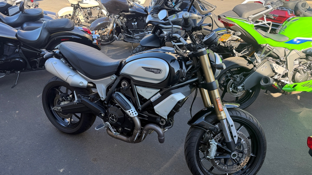 2020 Ducati Scrambler 1100 Sport PRO 1100 SPORT PRO in Sublimity, OR