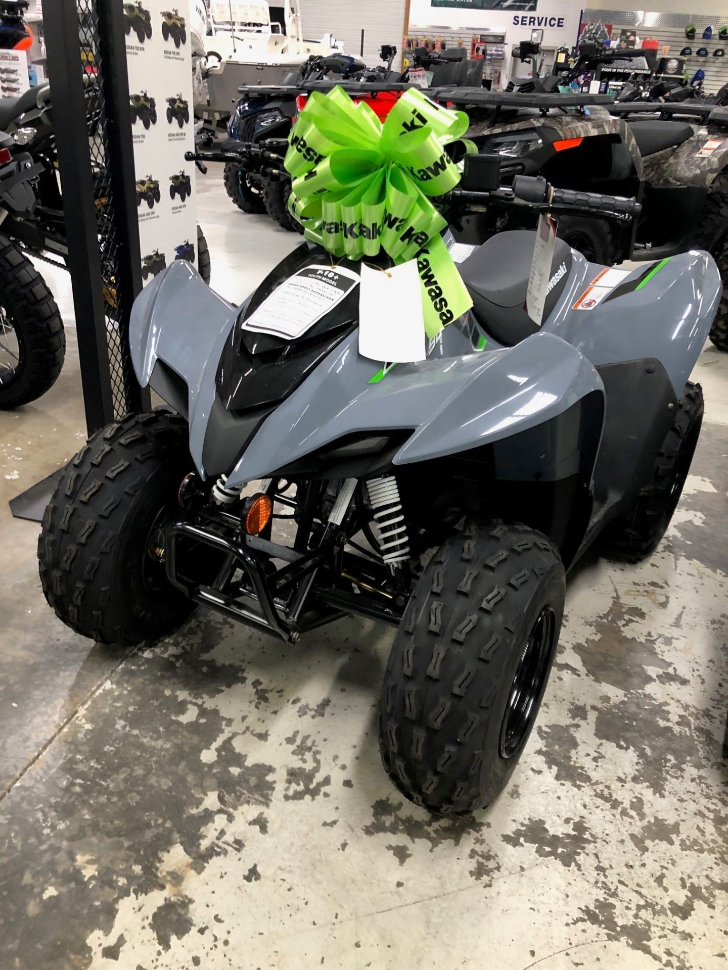 2025 Kawasaki KFX®90 in hood river OR
