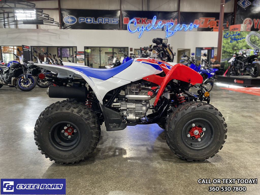 2026 Honda® TRX250X 250X in Marysville, WA