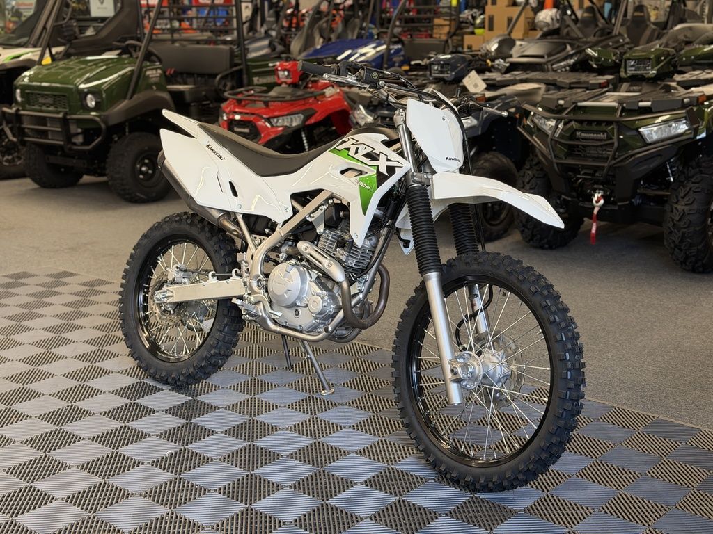 2027 Kawasaki KLX®230R S 230R S in Canonsburg, PA