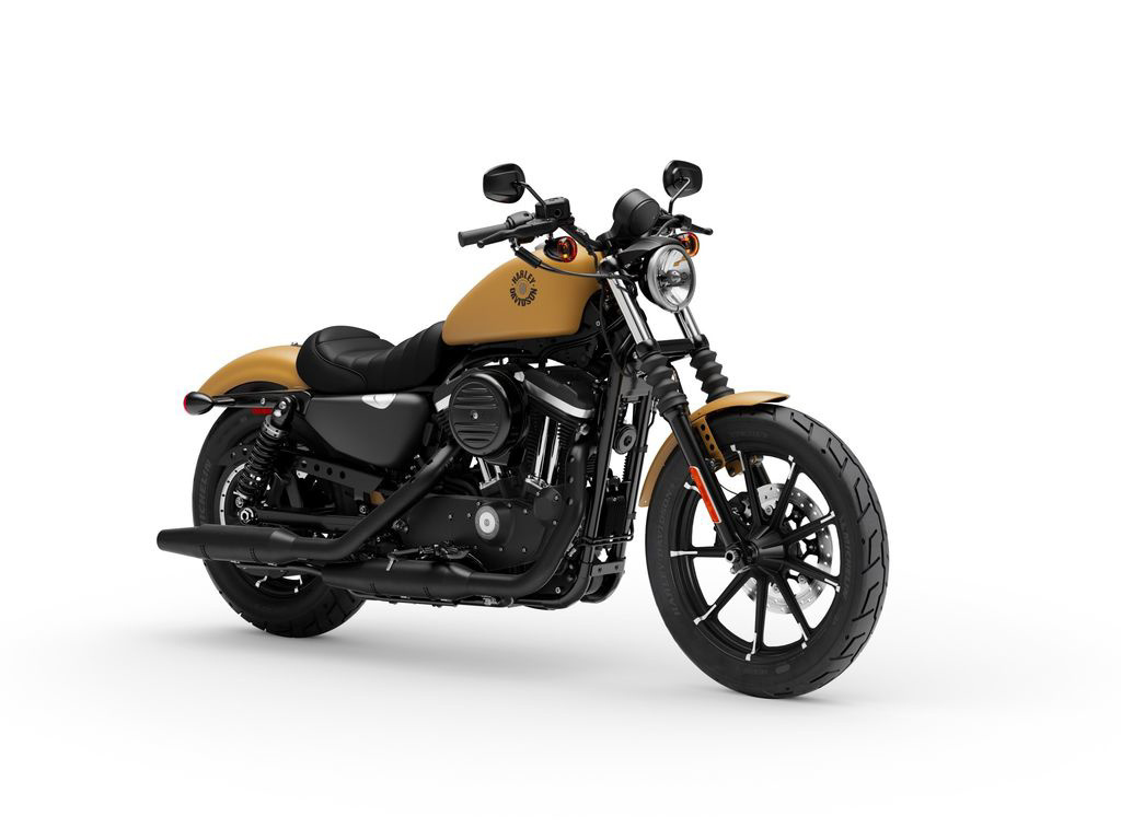 2019 Harley-Davidson XL 883N - Sportster Iron 883 XL883N LOW in Frederick, CO