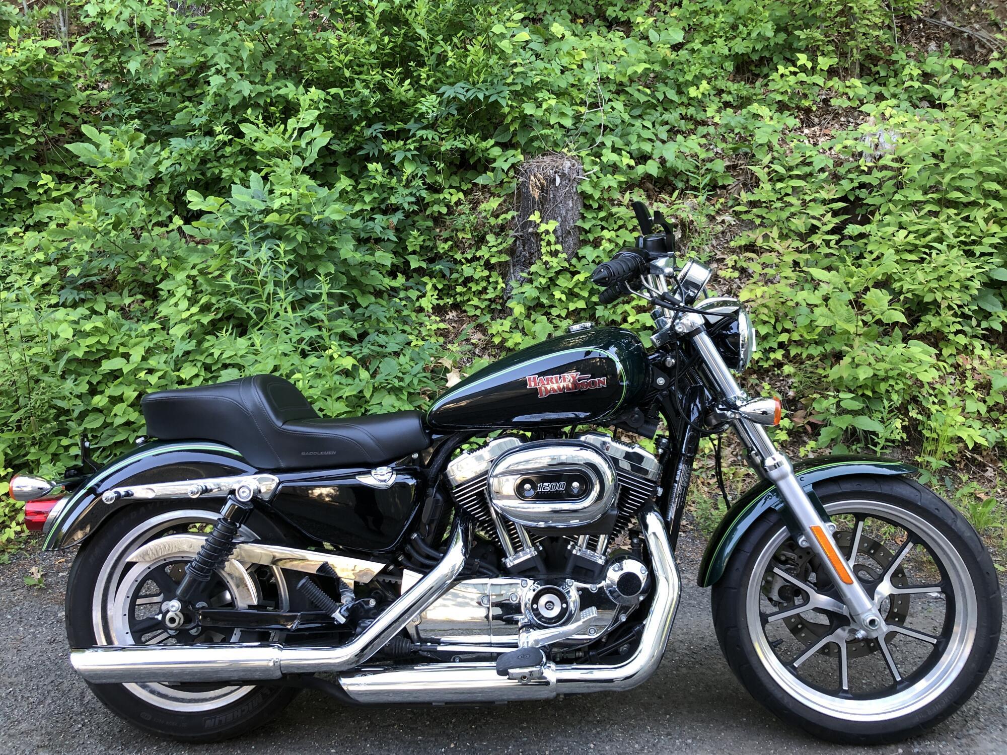 2016 Harley-Davidson SuperLow 1200T SUPERLOW in Bellingham, MA