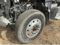 2019 PETERBILT 567