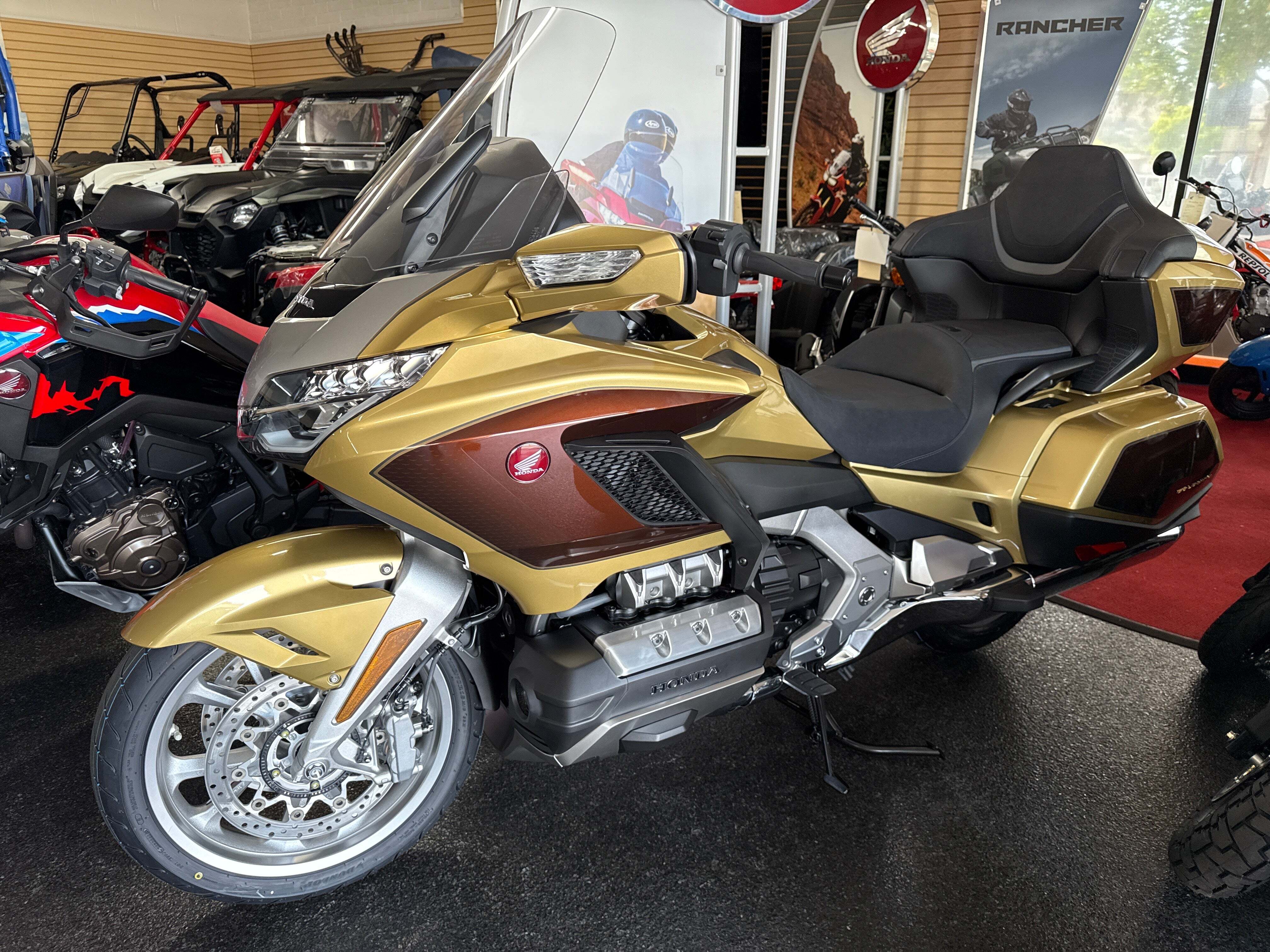 2025 Honda GOLD WING TOUR DCT 50TH TOUR DCT in Poway, CA