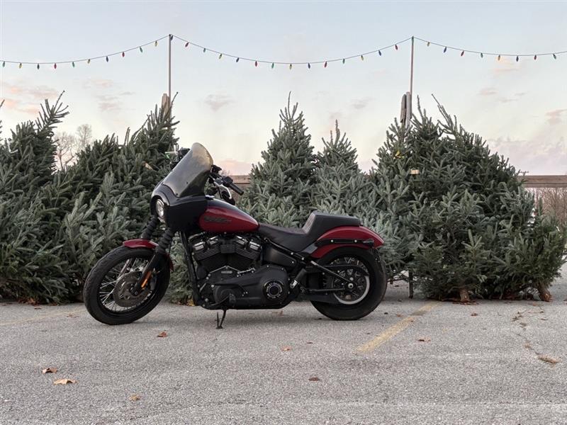 2020 Harley-Davidson STREET BOB SOFTAIL Cruiser motorcycle