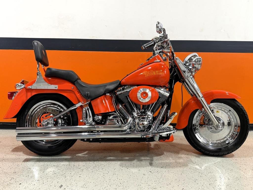 2002 Harley-Davidson Softail Fat Boy LO in Zieglerville, PA