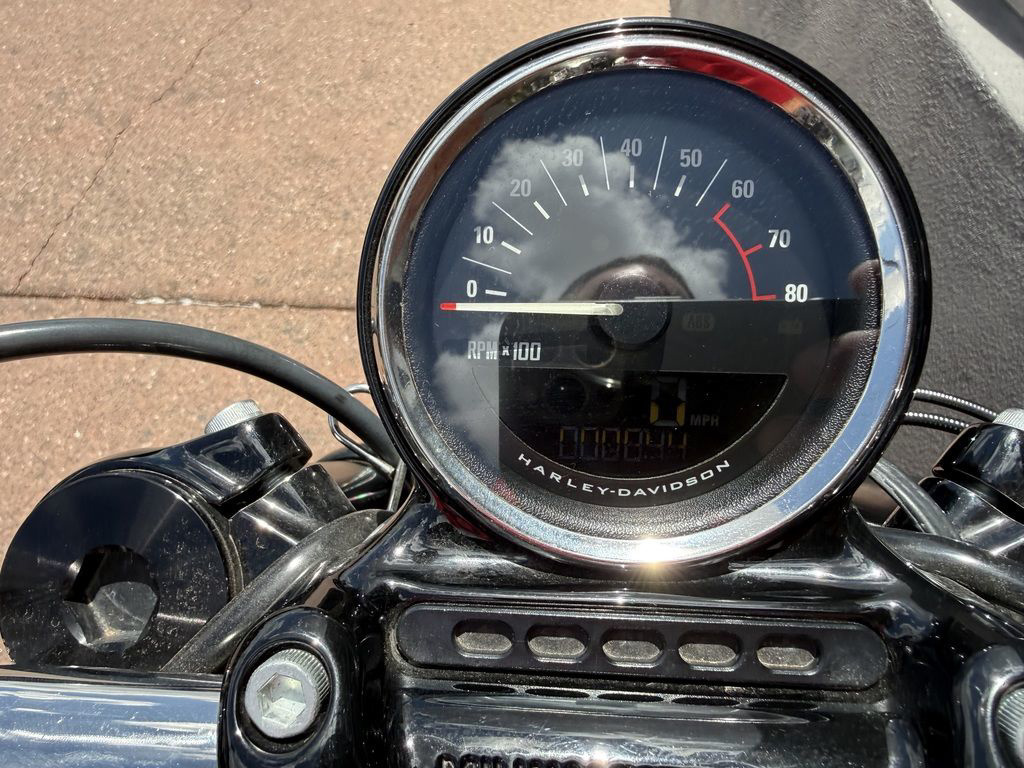2020 Harley-Davidson  XL1200CX - Sportster Roadster in 85032 AZ
