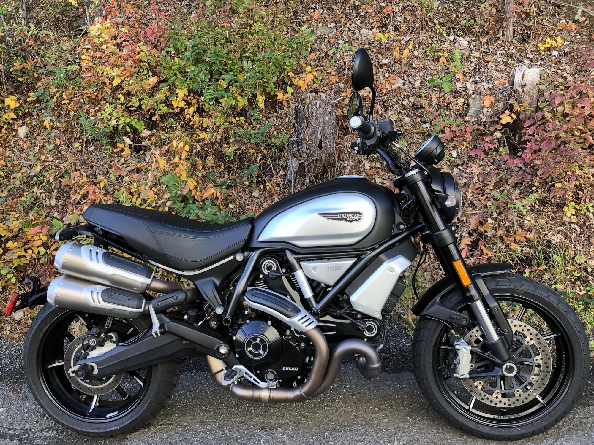2022 Ducati Scrambler 1100 Dark PRO 1100 PRO in Bellingham, MA
