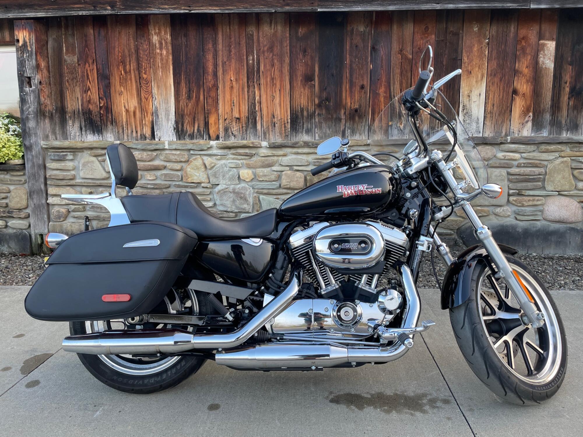 2014 Harley-Davidson SuperLow 1200T SUPERLOW in Hornell, NY