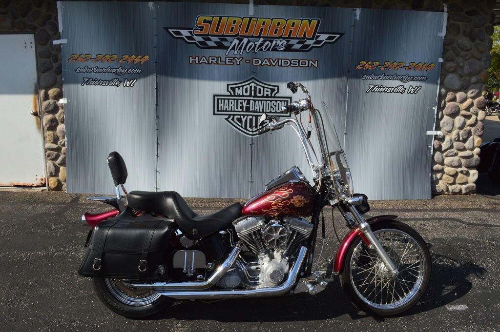 2002 Harley-Davidson Softail Standard STANDARD in Thiensville, WI