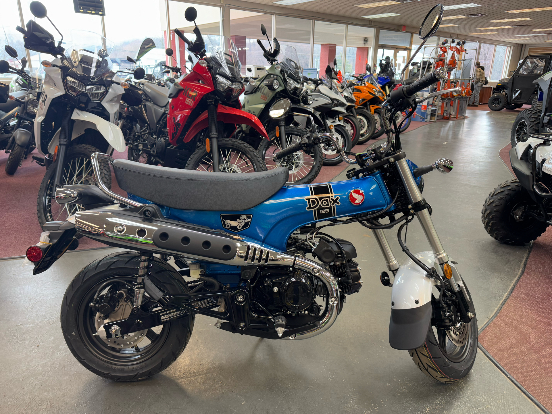 2025 Honda Dax 125 125 in Petersburg, WV