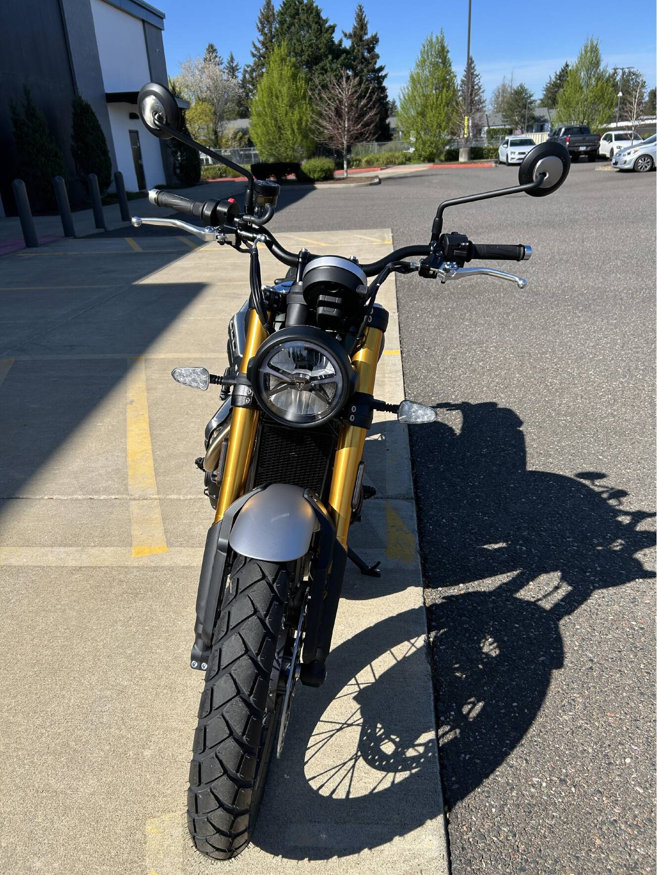A photo of this 2026 Triumph SCRAMBLER 900