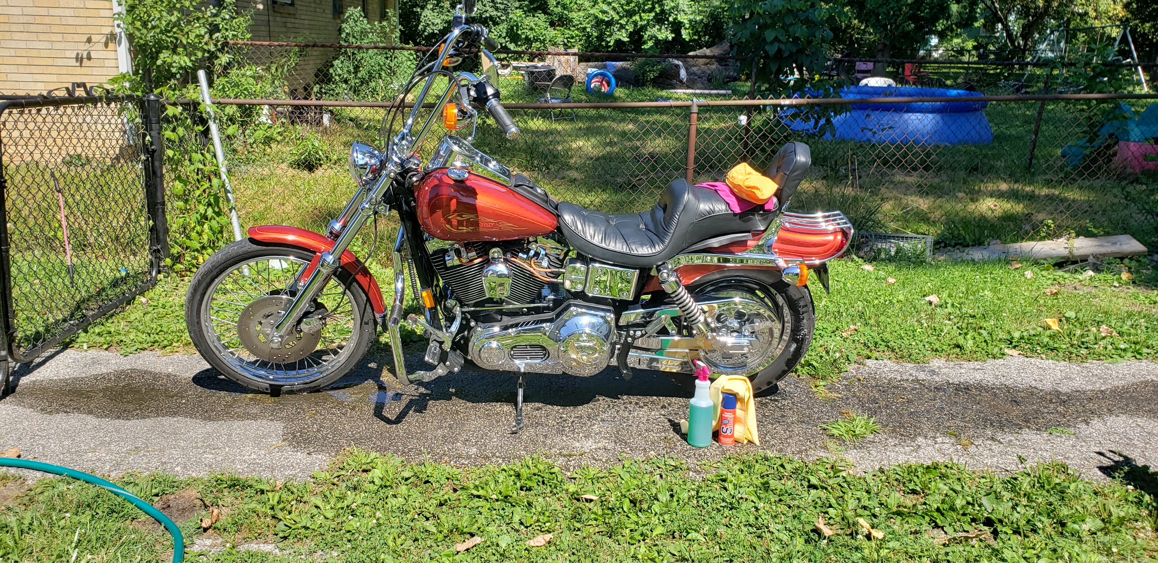 1999 Harley-Davidson DYNA WIDE GLIDE CVO CVO in Indianapolis, IN