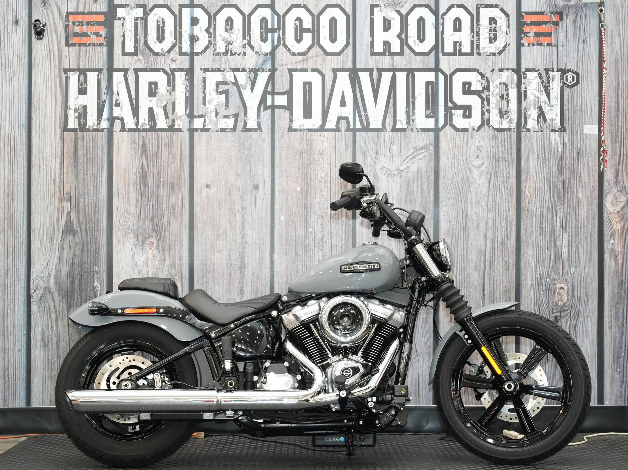 2025 Harley-Davidson Street Bob in Raleigh, NC