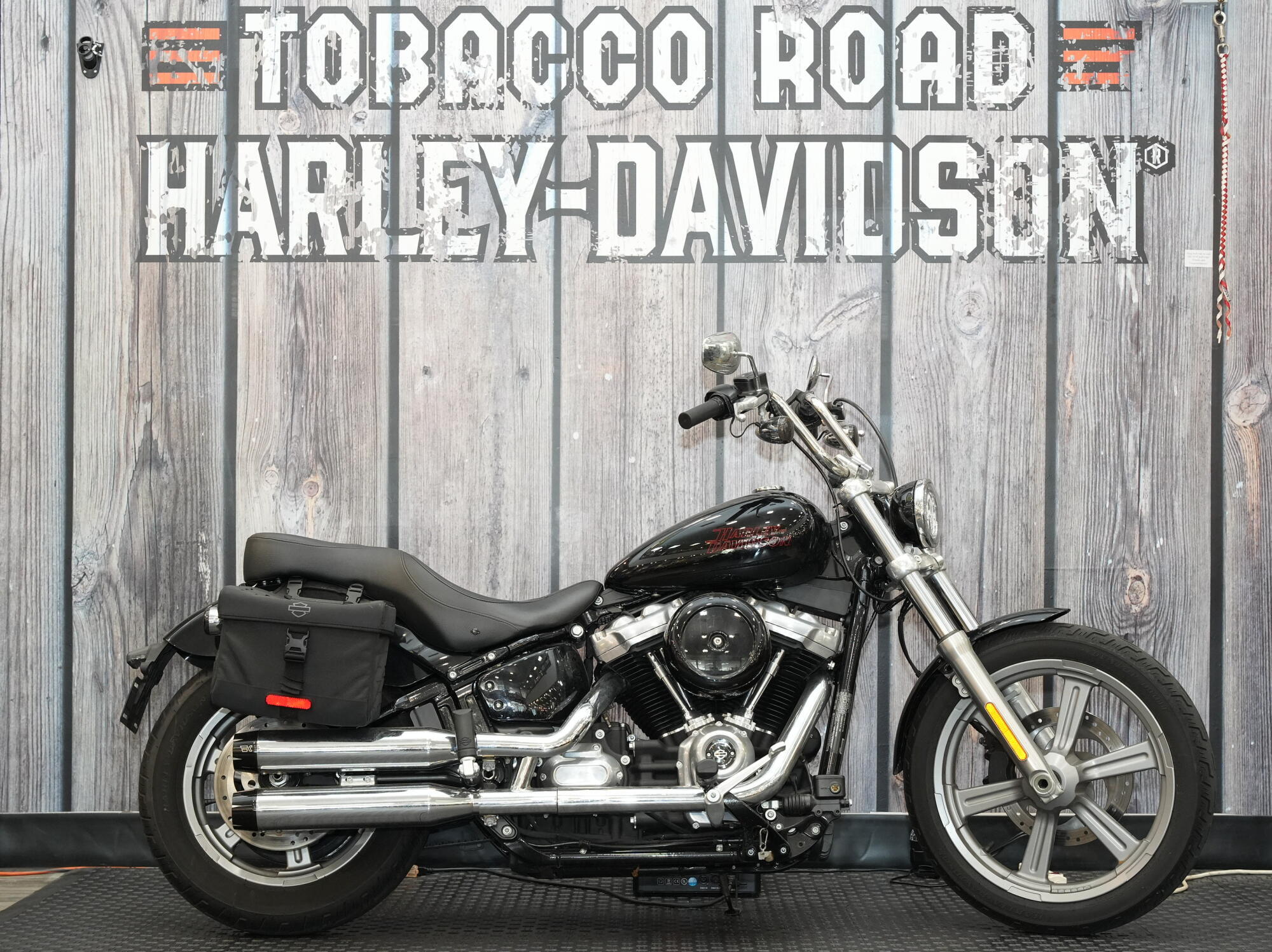 2023 Harley-Davidson Softail Standard STANDARD in Raleigh, NC