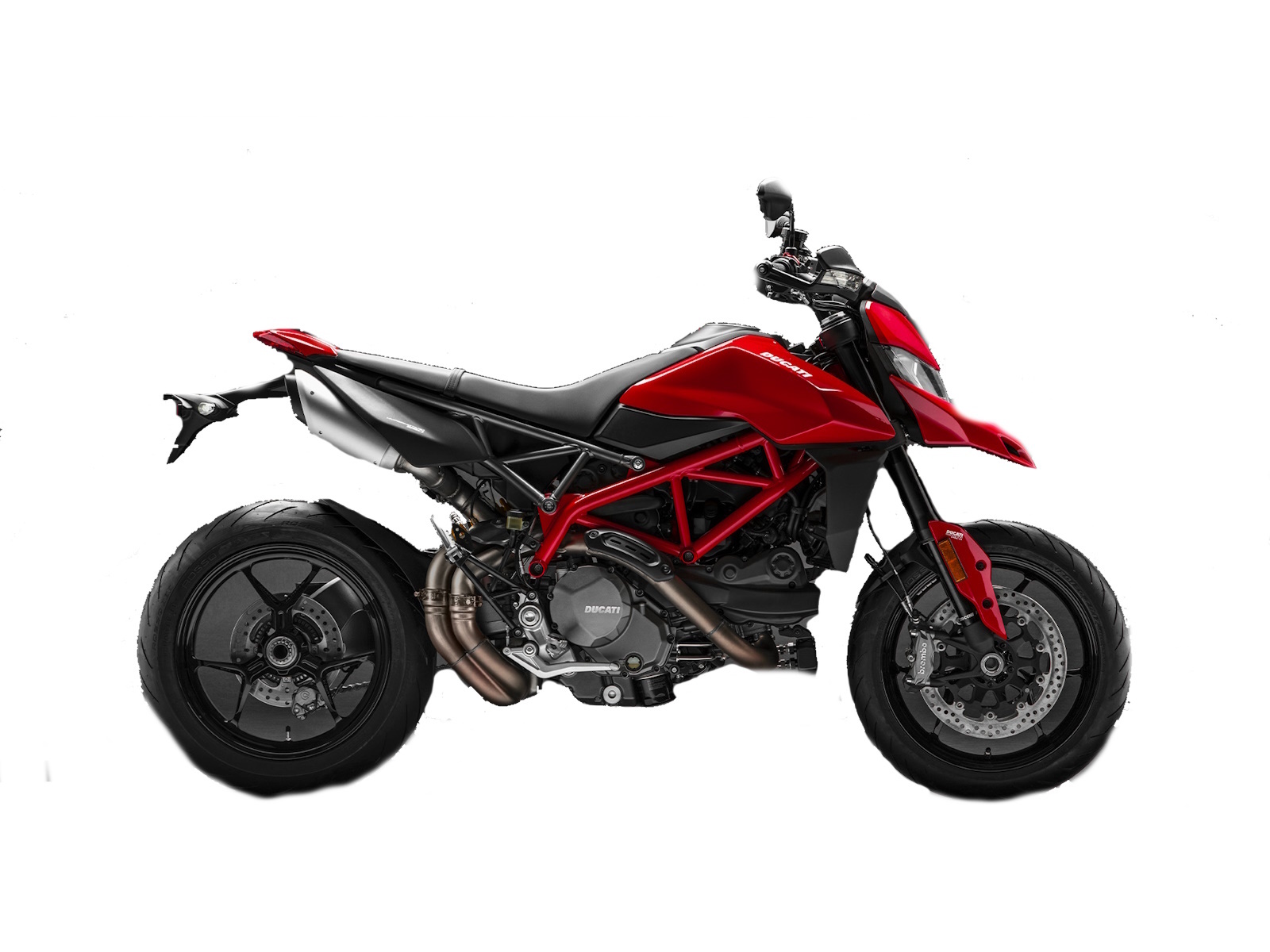 2025 Ducati Hypermotard 950 950 in Ossining, NY