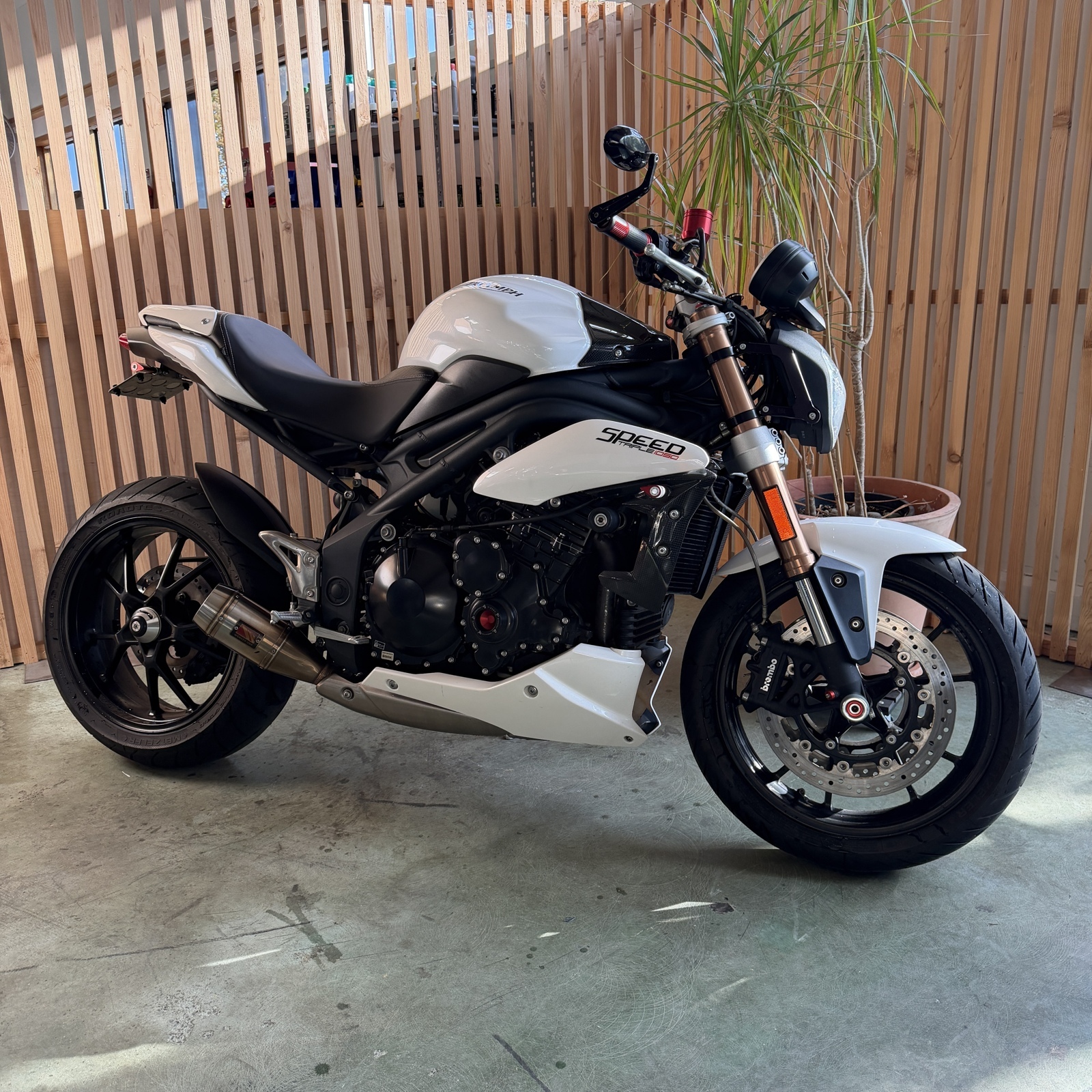 2011 Triumph SPEED TRIPLE in Seattle, WA