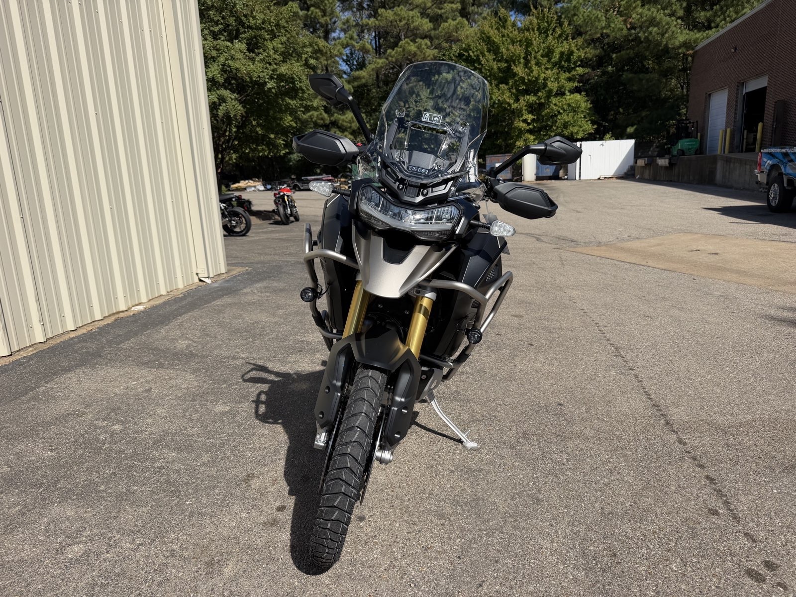 2025 Triumph Tiger 1200 Rally Explorer (Euro 5a) RALLY EXPLORER in Olive Branch, MS