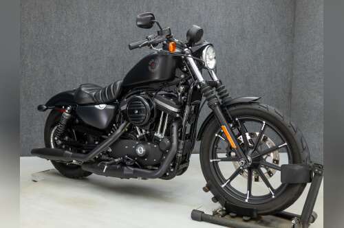 2021 Harley Davidson XL883N SPORTSTER 883 IRON in coxsackie NY