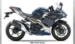 2023 Kawasaki Ninja 400 Sportbike motorcycle
