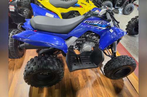 2026 Yamaha Raptor 110 in findlay OH