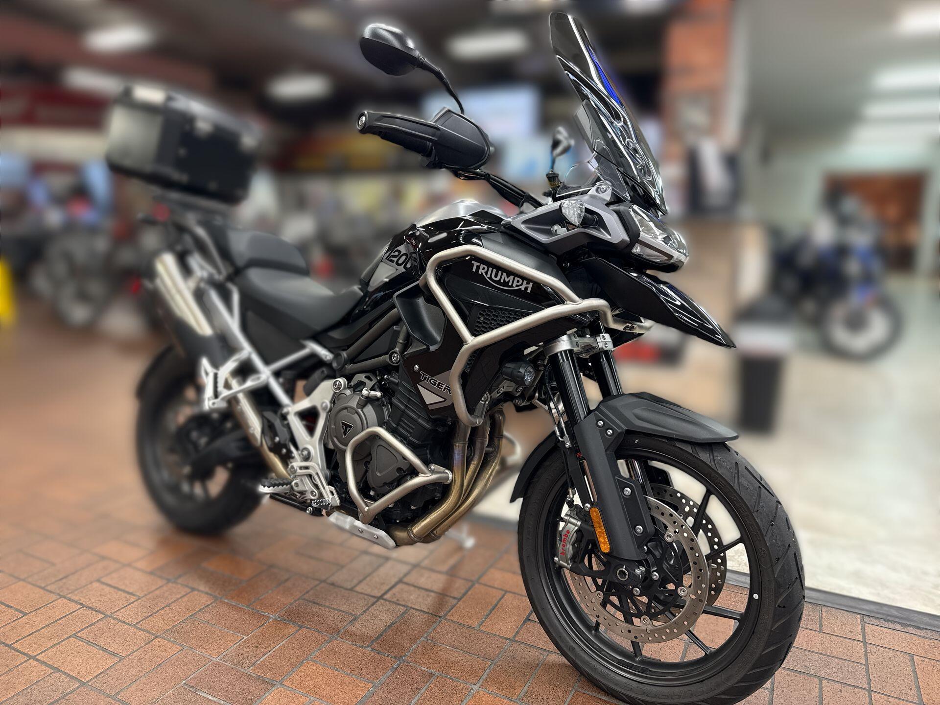 2023 Triumph TIGER 1200 GT PRO GT PRO in Katy, TX