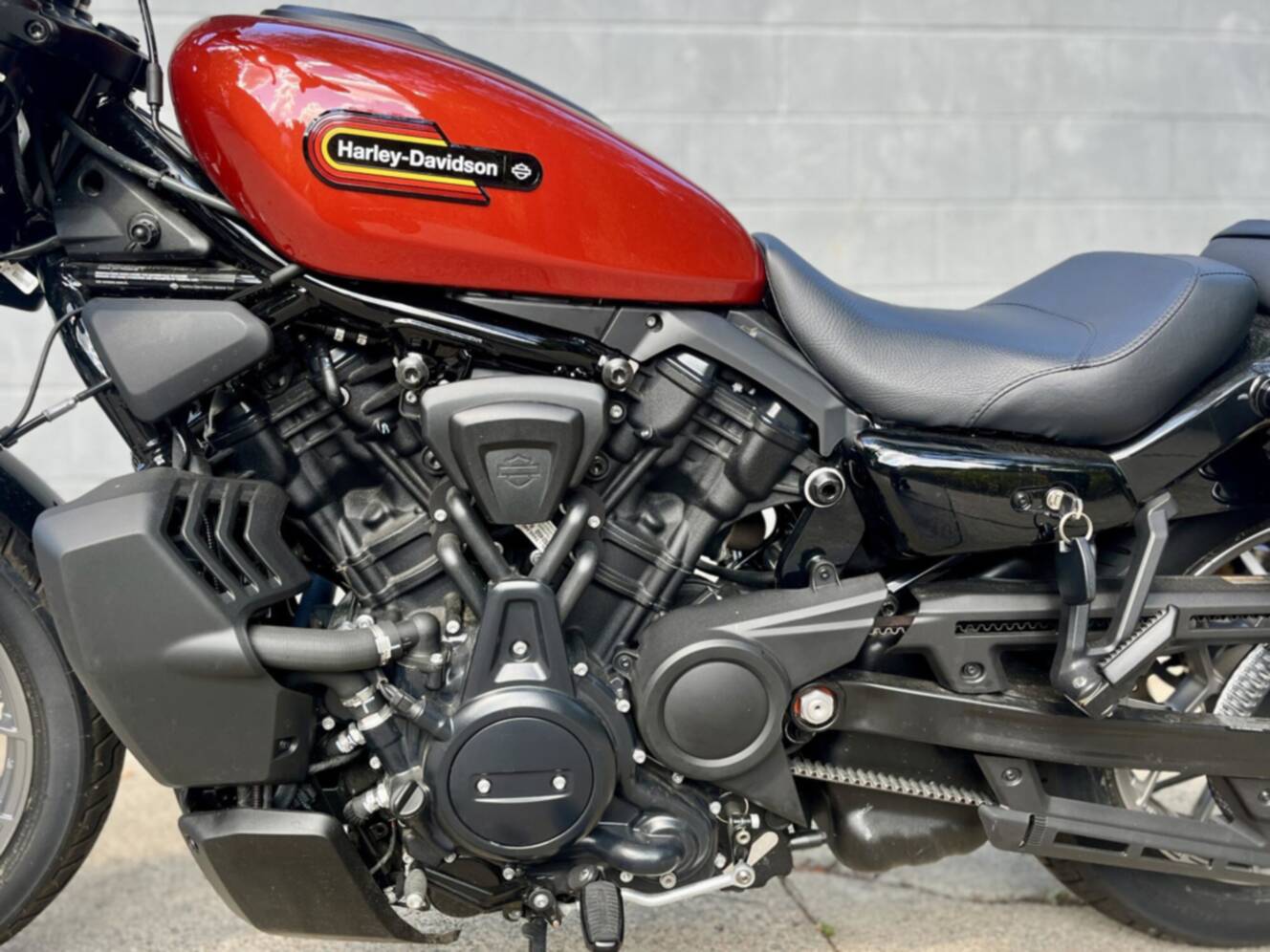 A photo of this 2025 Harley-Davidson  Sportster Nightster Special
