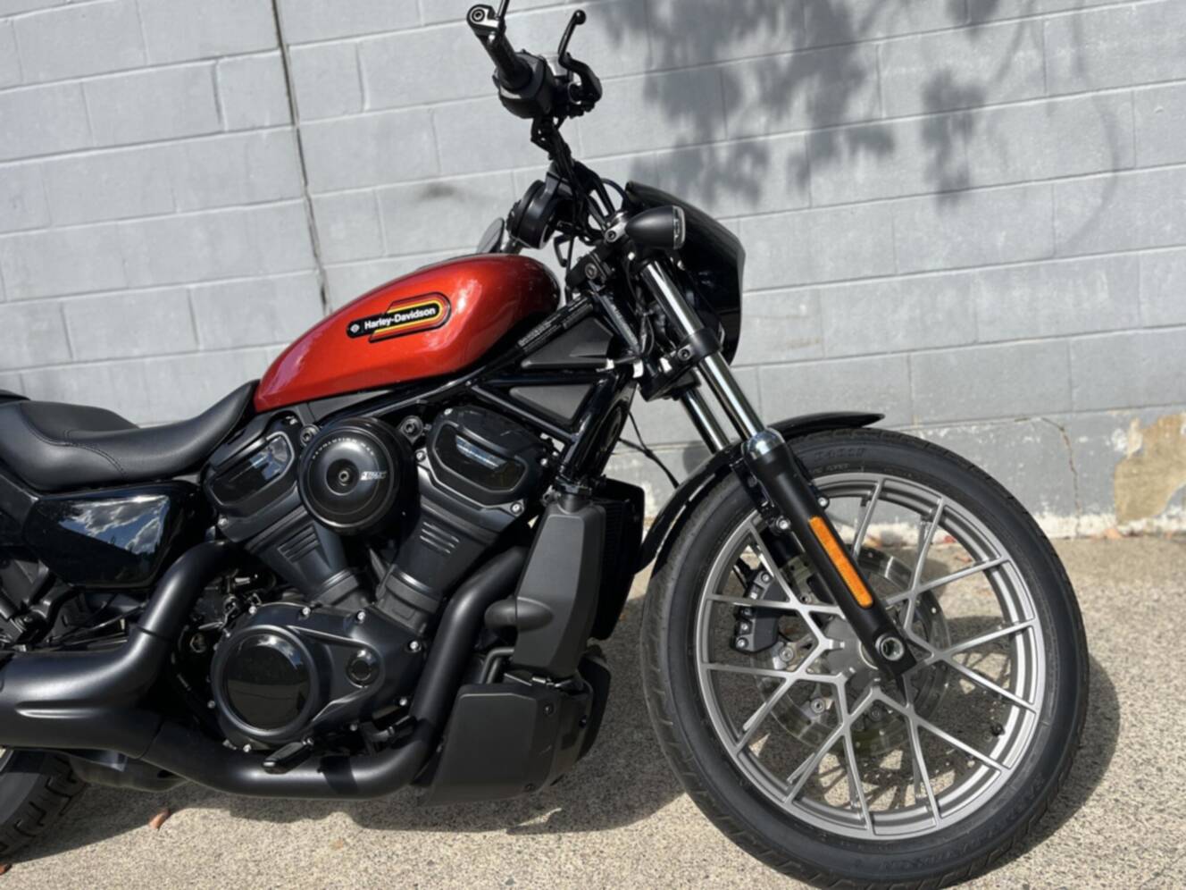 A photo of this 2025 Harley-Davidson  Sportster Nightster Special