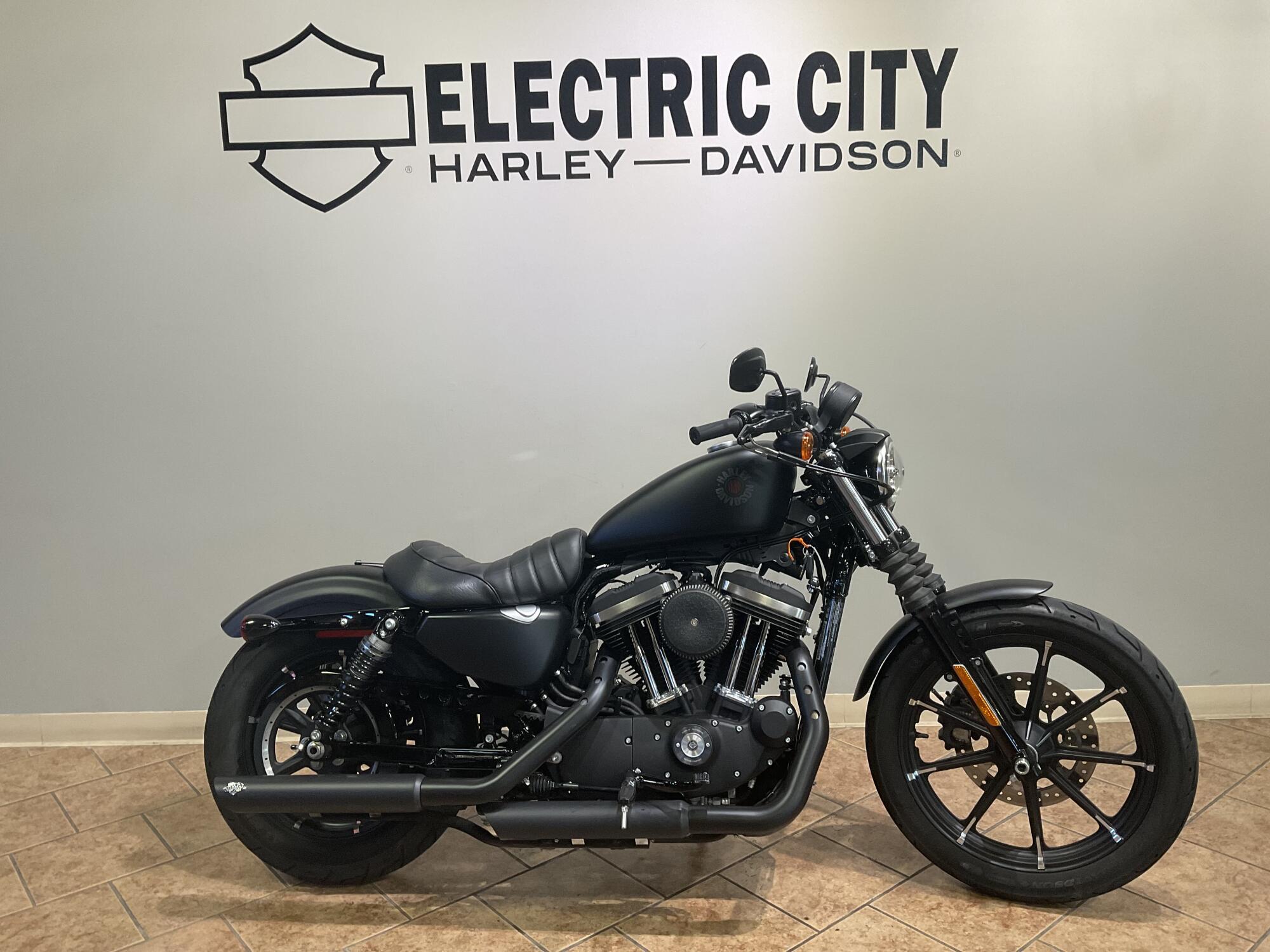 2020 Harley-Davidson Iron 883 IRON in Scranton, PA