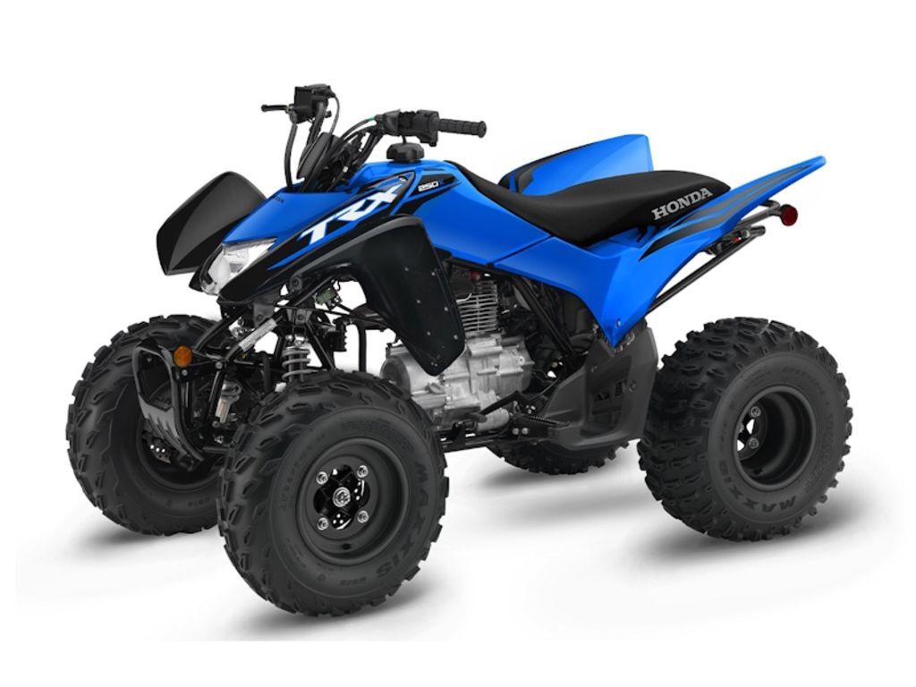 2027 Honda® TRX250X in davie FL