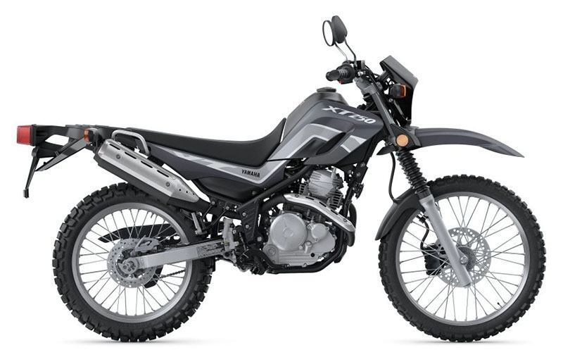 2024 Yamaha XT250 in Vincentown, NJ