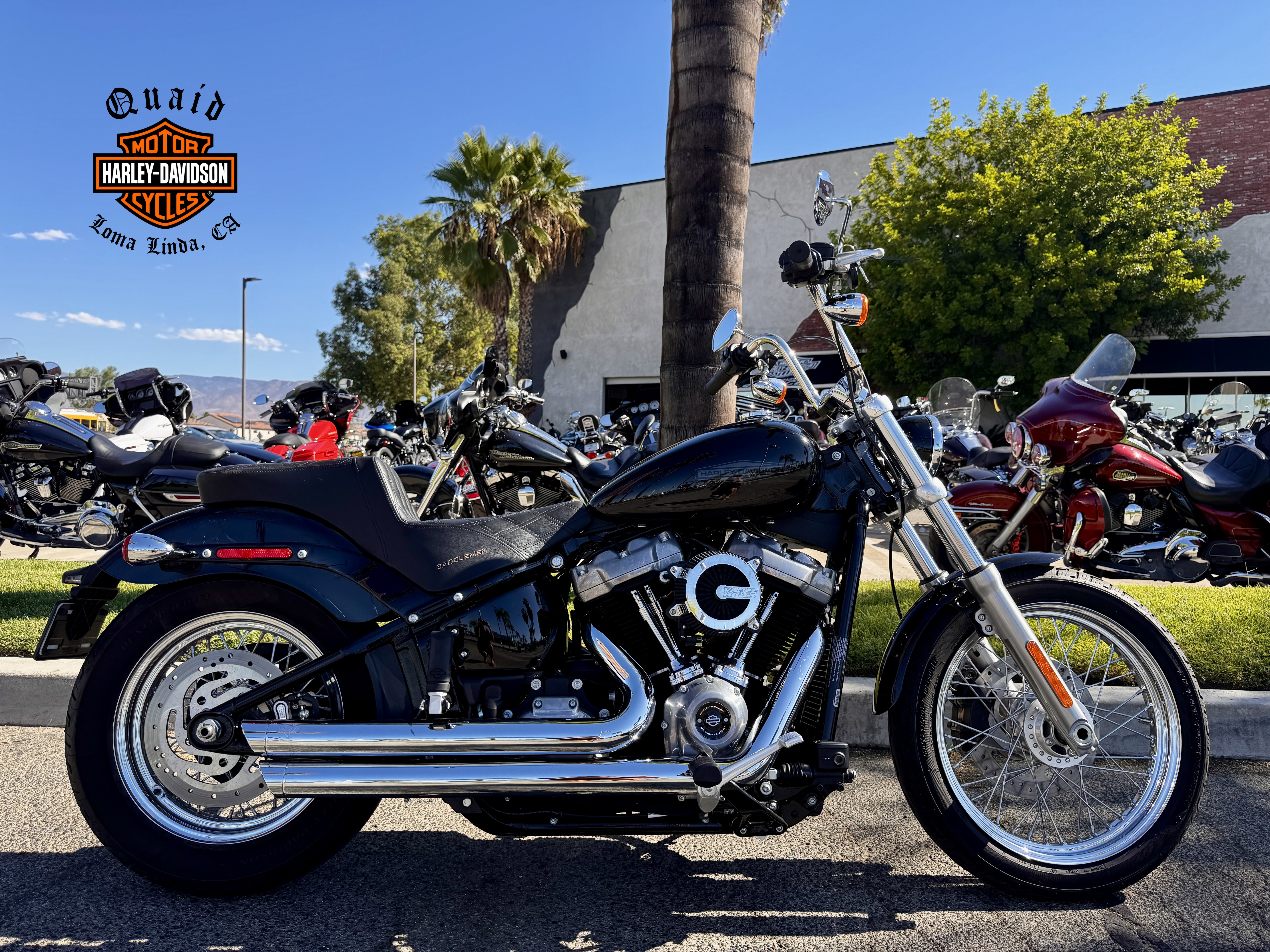 2022 Harley-Davidson SOFTAIL STANDARD STANDARD in Loma Linda, CA