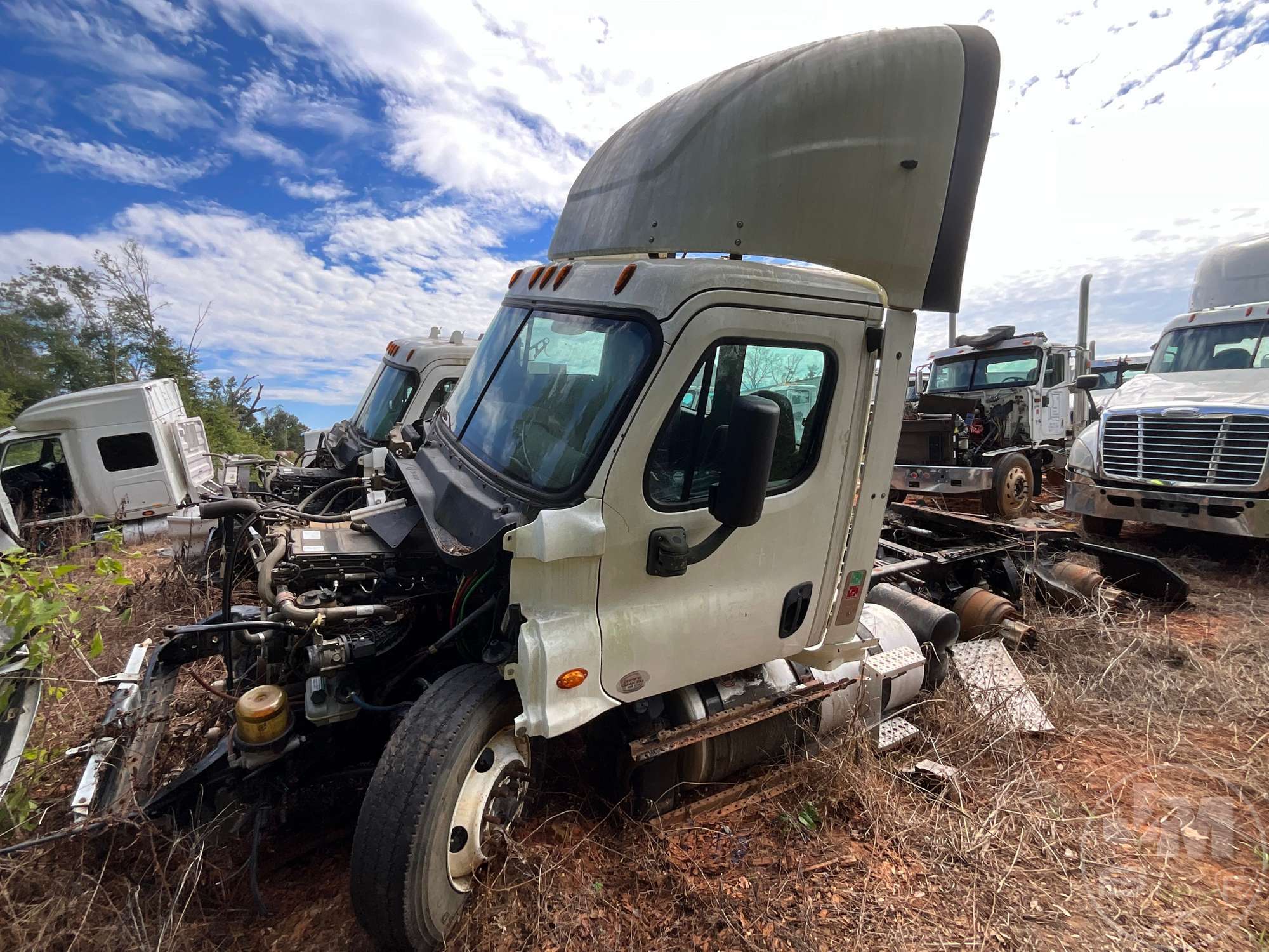 2015 FREIGHTLINER CASCADIA in Online