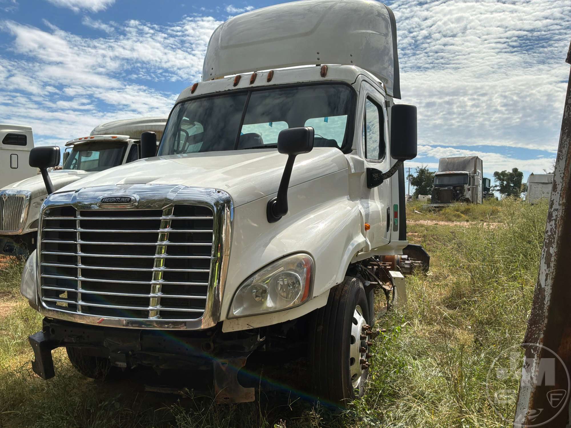 2015 FREIGHTLINER CASCADIA in Online