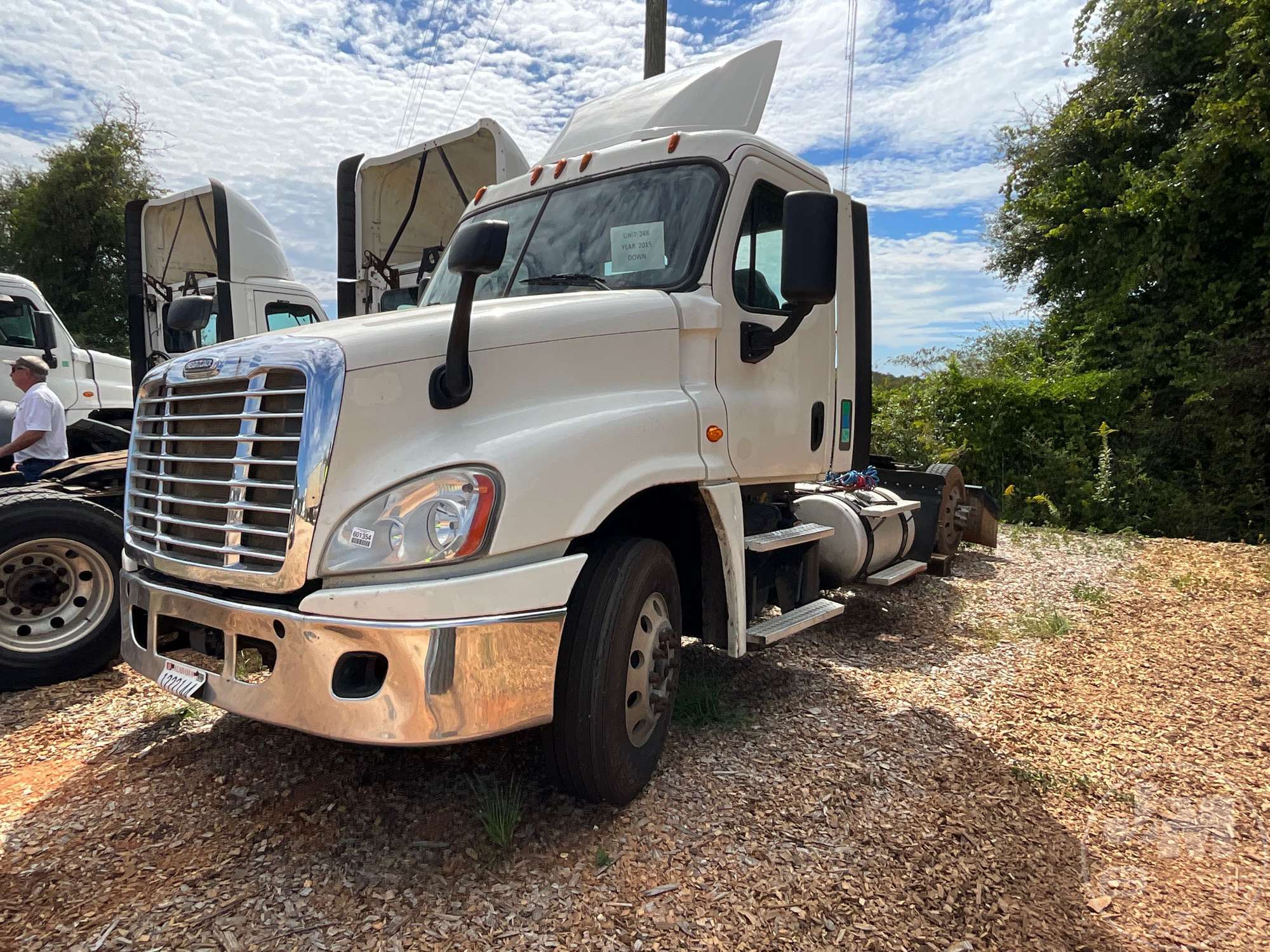 2015 FREIGHTLINER CASCADIA CA125 in Online