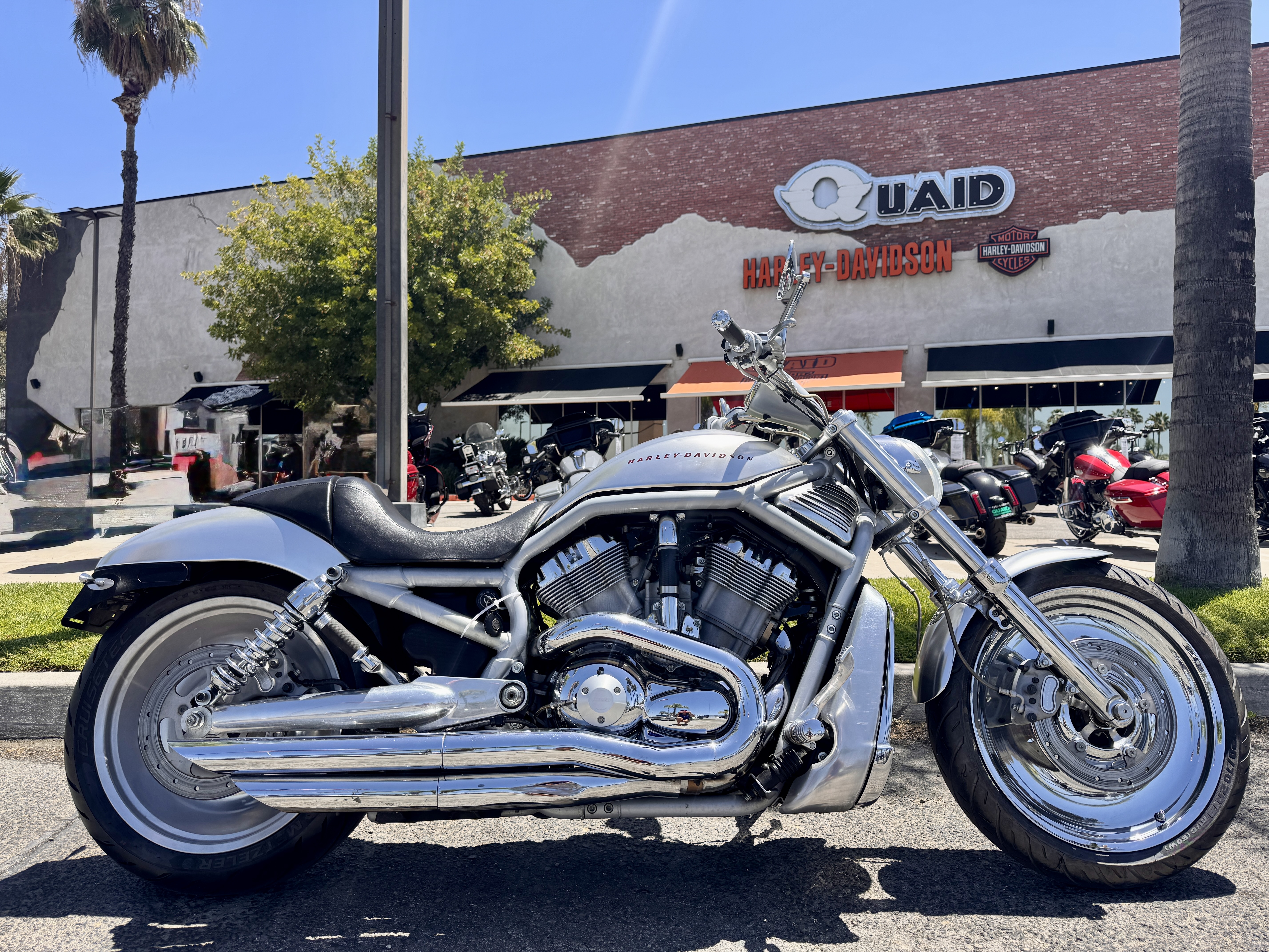 2002 Harley-Davidson V-ROD in Loma Linda, CA