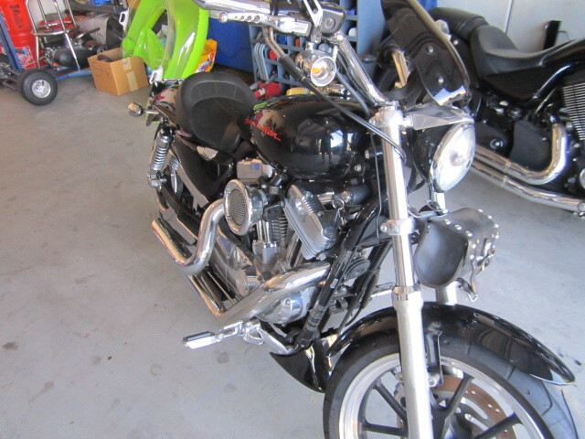 2013 Harley-Davidson SPORTSTER 883 LOW LOW in Florence, AZ