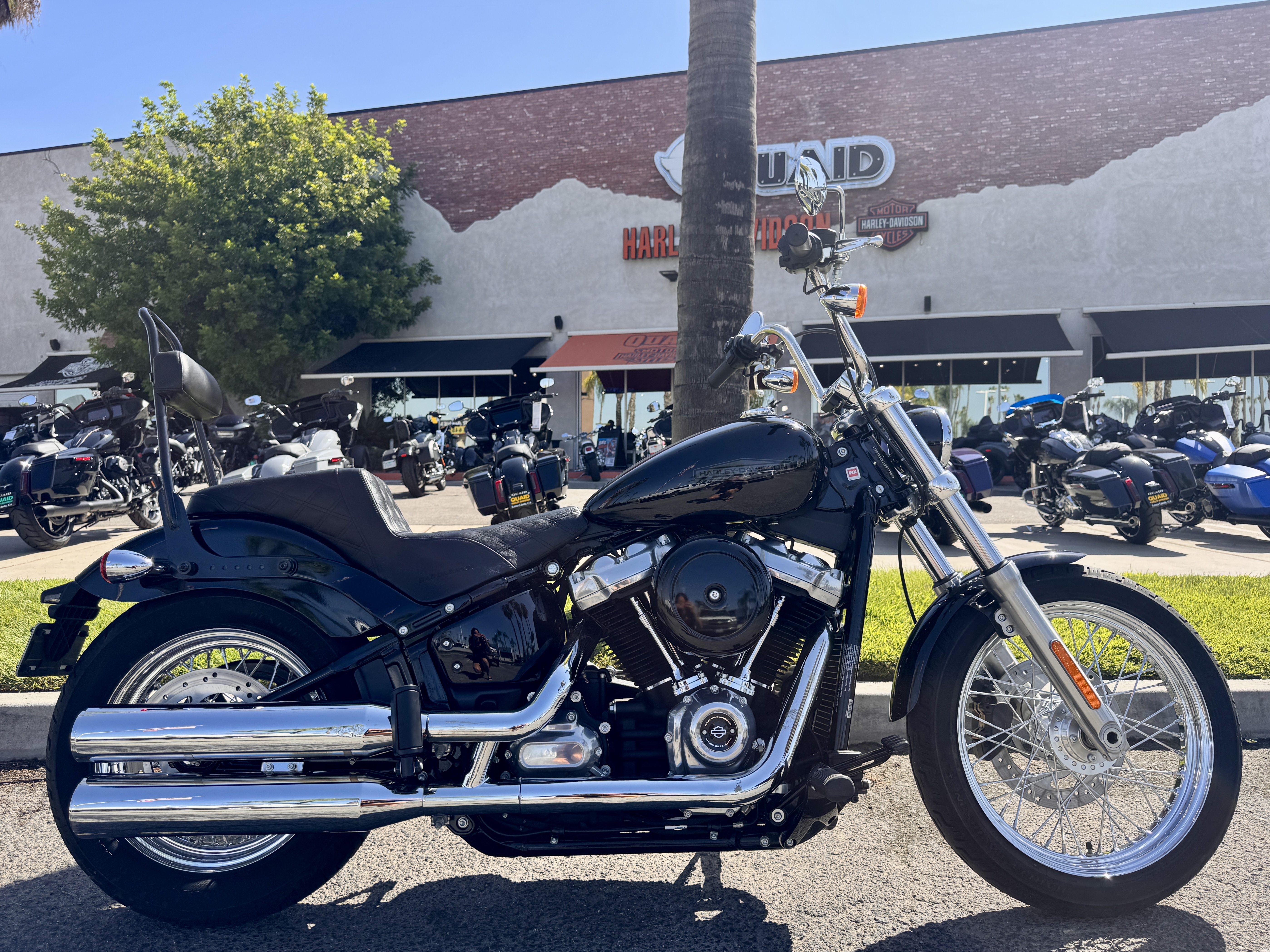 2020 Harley-Davidson SOFTAIL STANDARD STANDARD in Loma Linda, CA