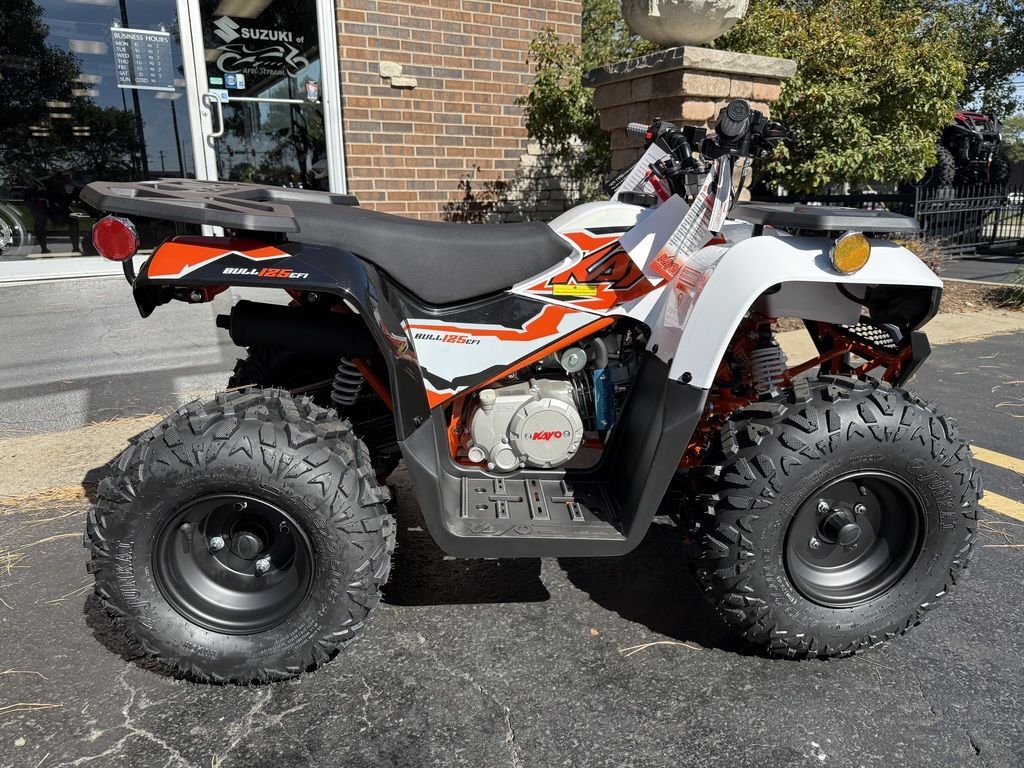 2025 Kayo Bull 125 EFI Recreation/Utility ATV